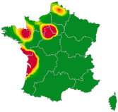 Carte Varicelle
