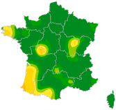 Carte Infection respiratoire aiguë (IRA)