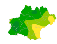 Infection respiratoire aiguë (IRA)
															 
										
					