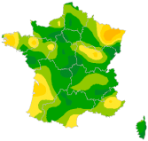 Carte Acute Respiratory Infection (ARI)
